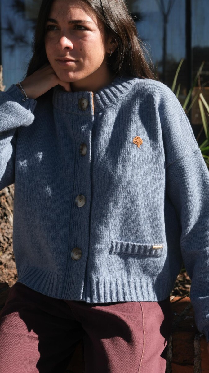 Cardigan Terro Pick - Celeste 