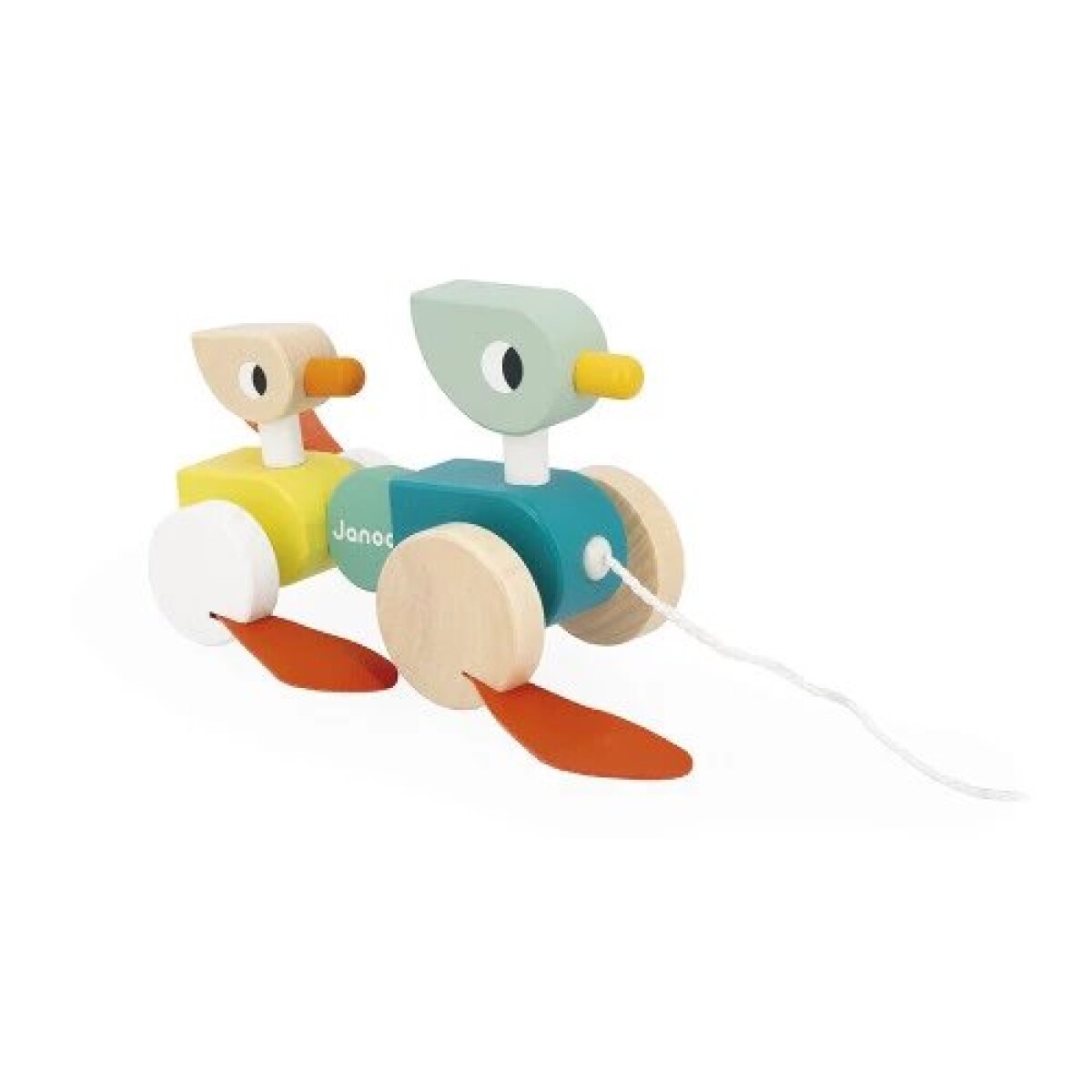 PATOS PARA PASEAR ZIGOLOS JANOD 