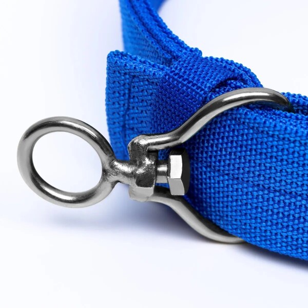 Collar Hebilla Nylon Perros Raza Grande 65 cm Ajustable Variante Color Azul