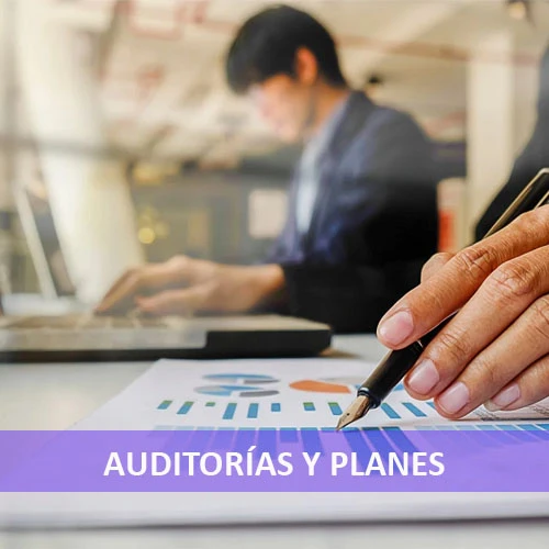 AUDITORIAS Y PLANES