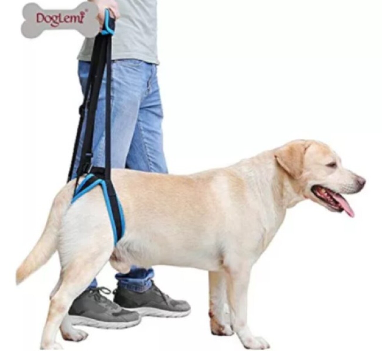 IM60017M - ARNES TRASERO AYUDA 