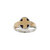 Anillo Profesión Médico-Plata y Oro-Piedra Ónix-AP5011 sinpiedra