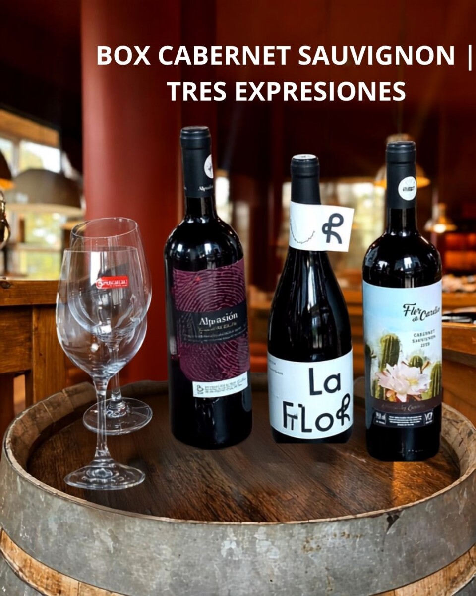 BOX CABERNET SAUVIGNON | TRES EXPRESIONES 