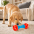 Juguete Morder Perros Gatos Limpieza Dental Golosinas Premio Color Celeste Naranja