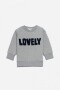 Sweatshirt con logo plush aplicado GRIS MELANGE