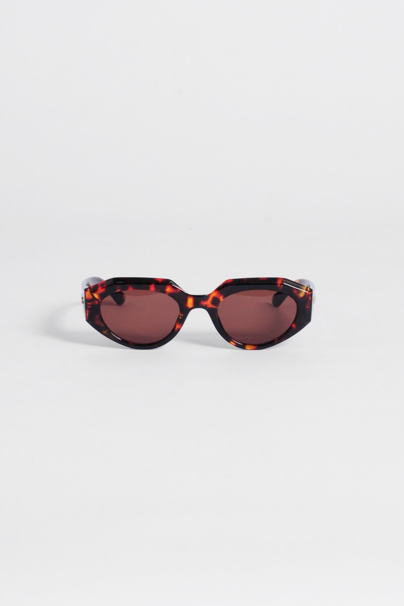 Lentes de sol montura hexagonal carey