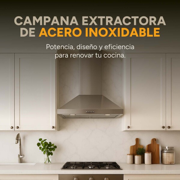 Campana De Cocina Extractor Goldtech 60cm Inoxidable Luz Variante Color Plateado