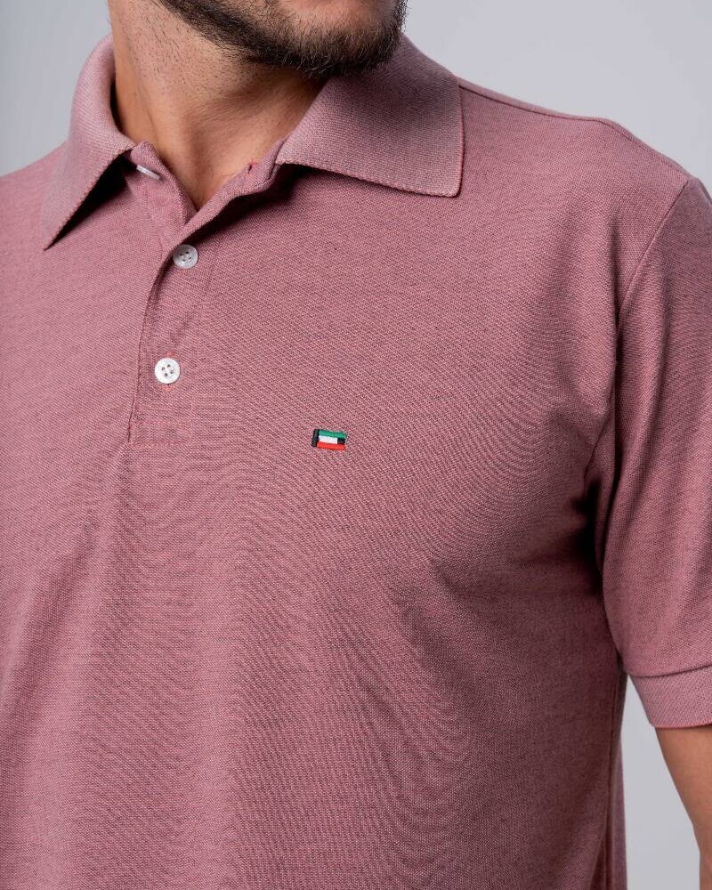 REMERA POLO SALMAO P