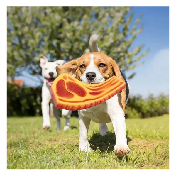 Juguete Costilla Perro Gato Mascota Masticable Chifle Variante Diseño Carne