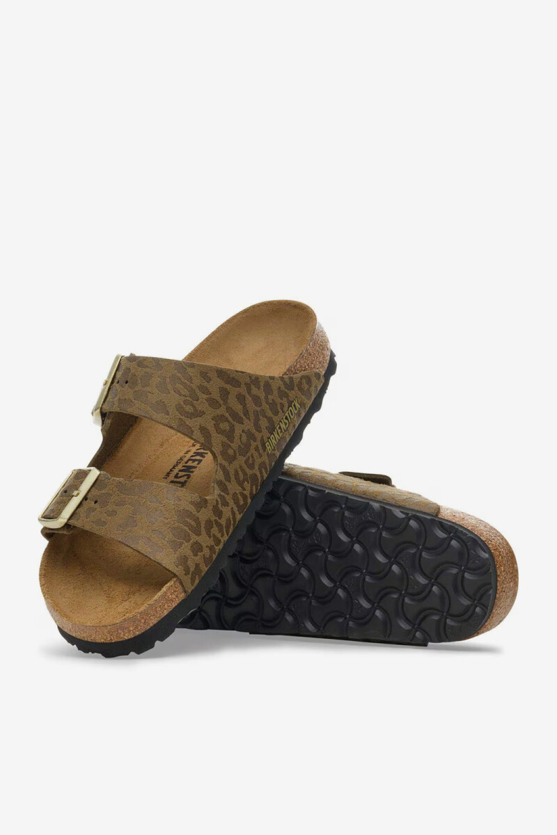 ARIZONA SYN Leopardo