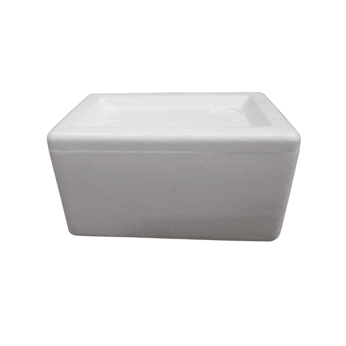 ENVASE ESPUMA PRISMATICO 1 L 19 x 13.5 x 8.5 CM 