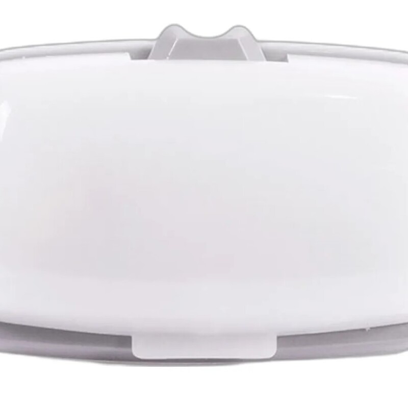 FAROL INTERIOR DELANTERO - N300 FAROL INTERIOR DELANTERO - N300