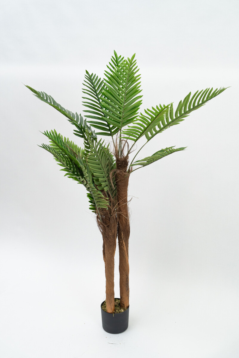 Planta Palmera 120cm - Color Unico 