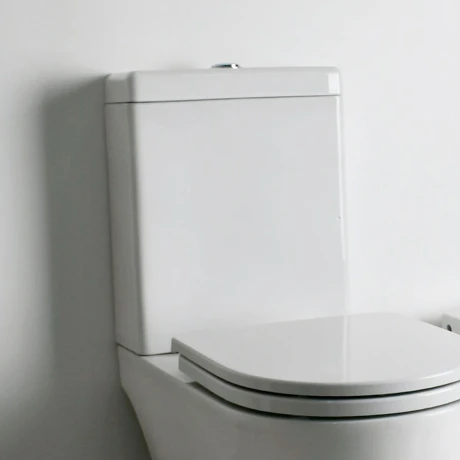 Deposito Dual 4.5Lt Para Inodoro Largo Linea Fontana 000