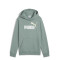 Buzo de Hombre Puma Logo Hoodie Verde