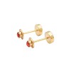 Abridores Rubi-Oro Bajo-Rubi-AB8006 Conpiedra