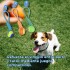 JUGUETE PELOTA CON CUERDA JUGUETE PELOTA CON CUERDA