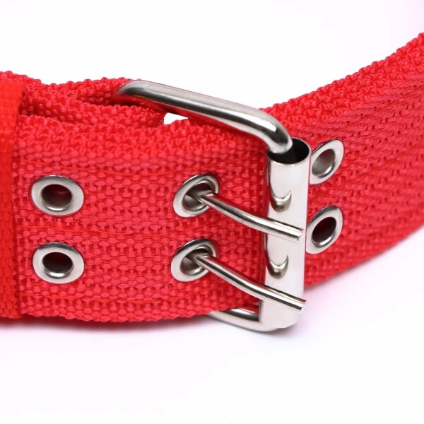 Collar Hebilla Nylon Perros Raza Grande 65 cm Ajustable Variante Color Rojo
