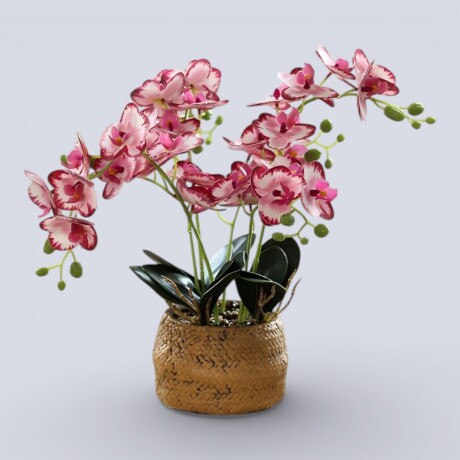 Orquídea Artificial Grande Rosa Claro