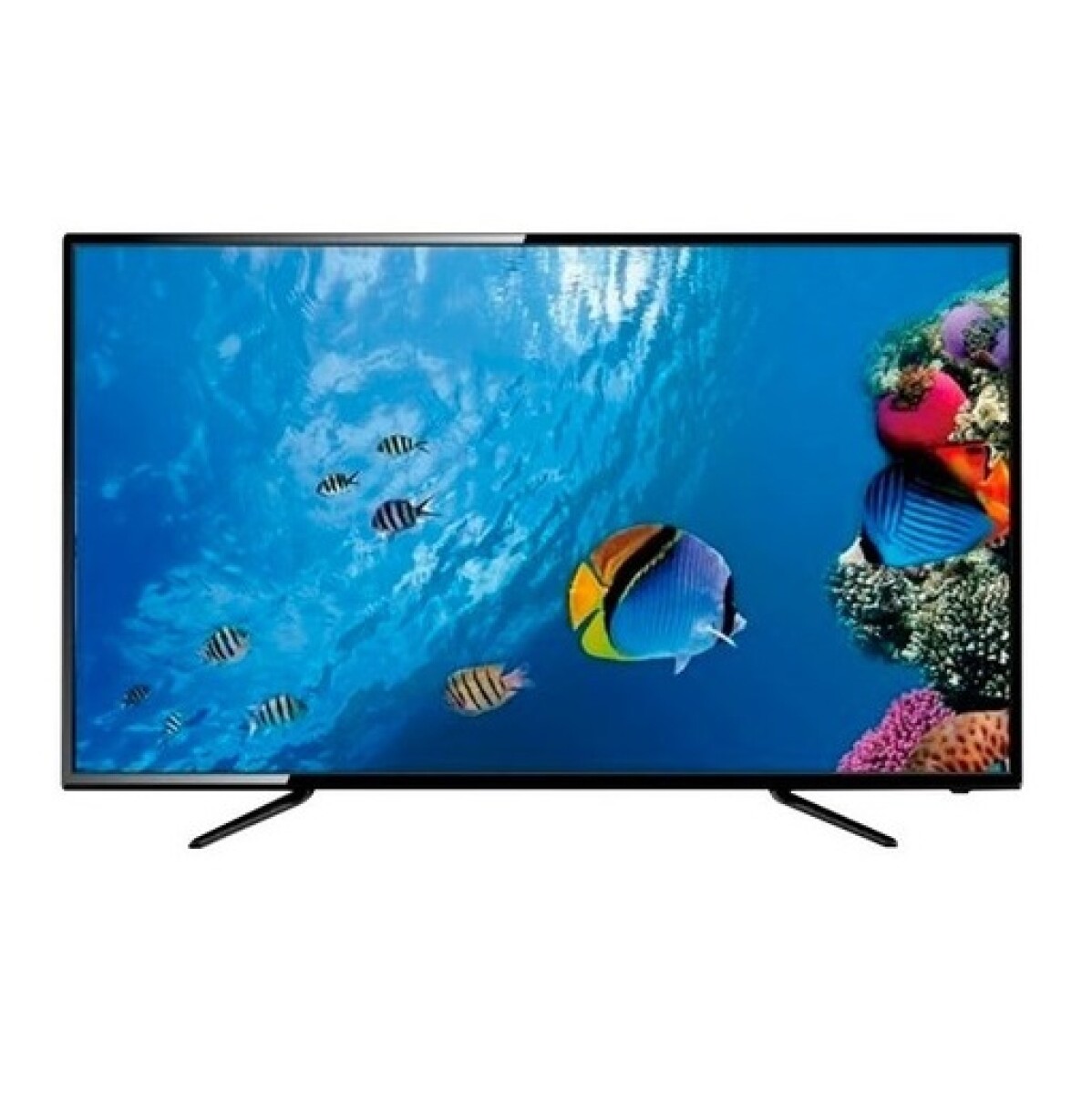 Smart Tv Led Eldom 65'' Uhd 4k Con Hdr 