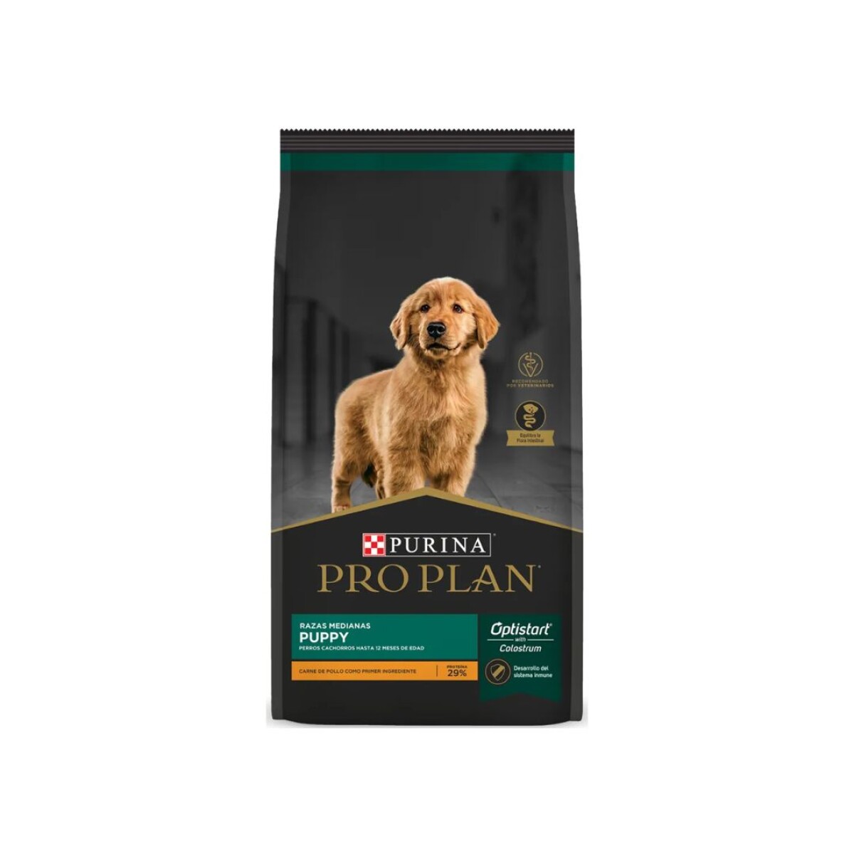 PRO PLAN CACHORRO RAZA MED 1 KG 