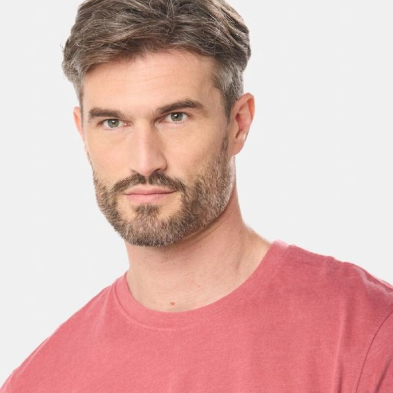 Remera Manga Corta Legacy Ladrillo