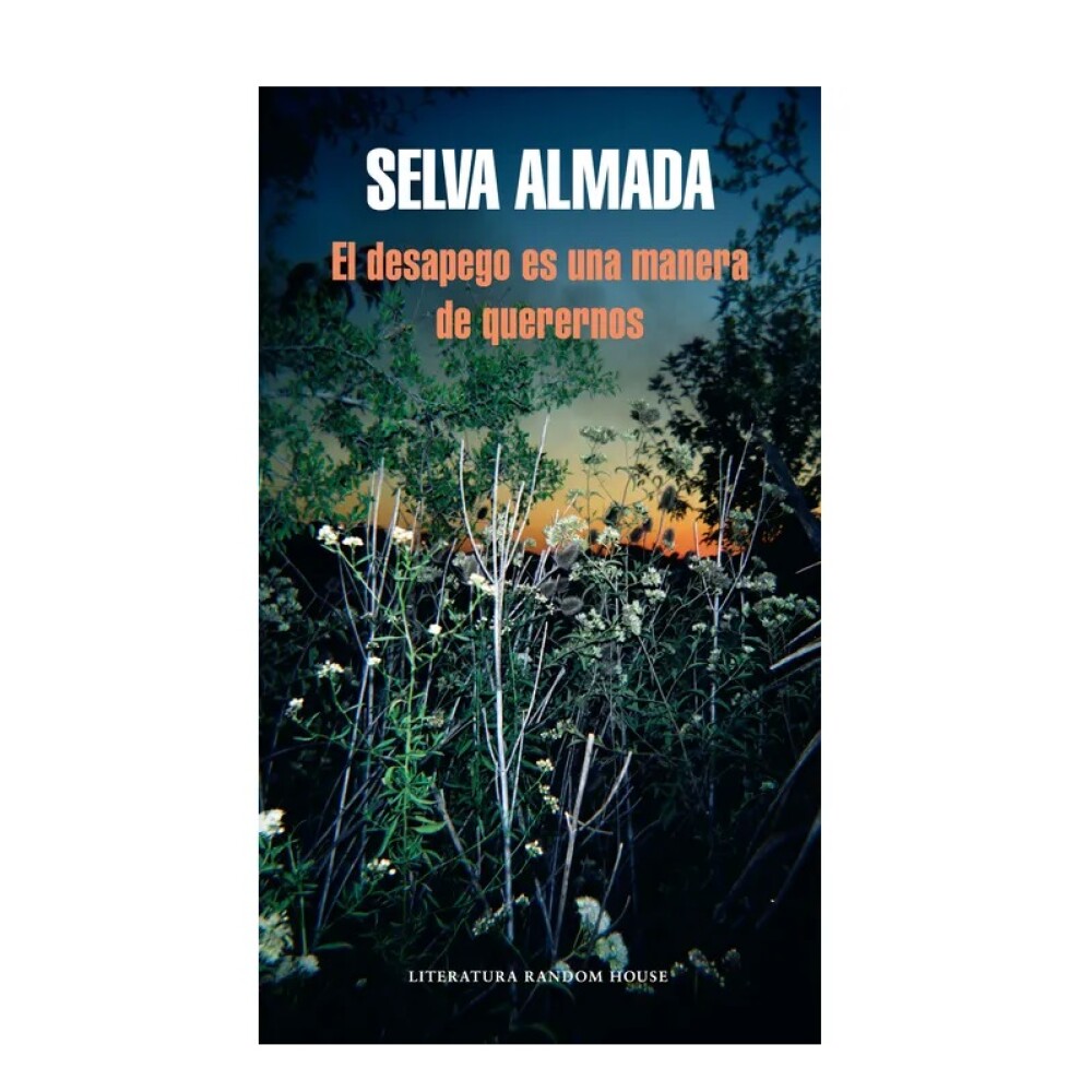 El Desapego Es Una Manera De Querernos DESAPEGO ES UNA MANERA DE QUERERNOS EL