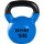 Pesa Rusa Expert Hierro Macizo Kettlebell Mancuerna Recubierta Azul