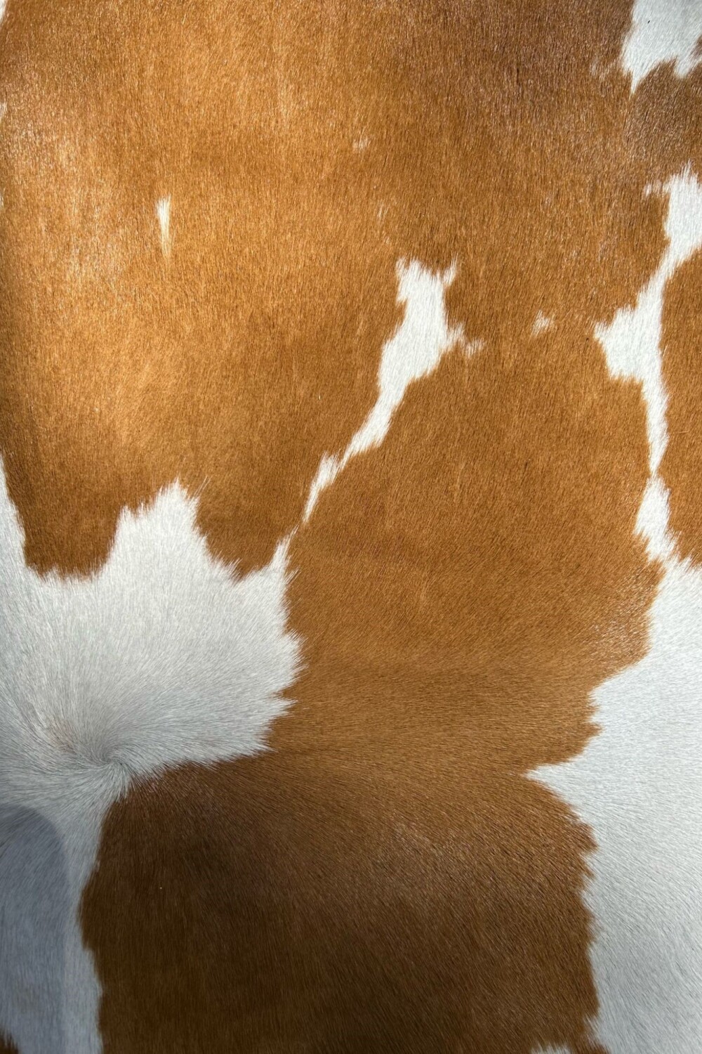 Petit Stool Cowhide claro