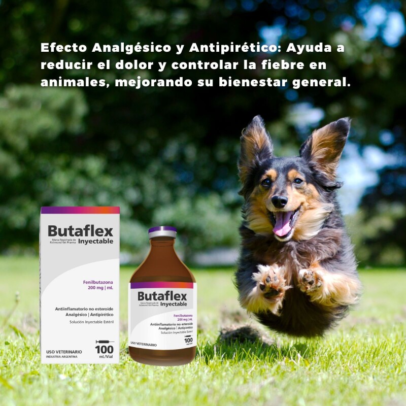 BUTAFLEX INYECTABLE FCO 100 ML BUTAFLEX INYECTABLE FCO 100 ML