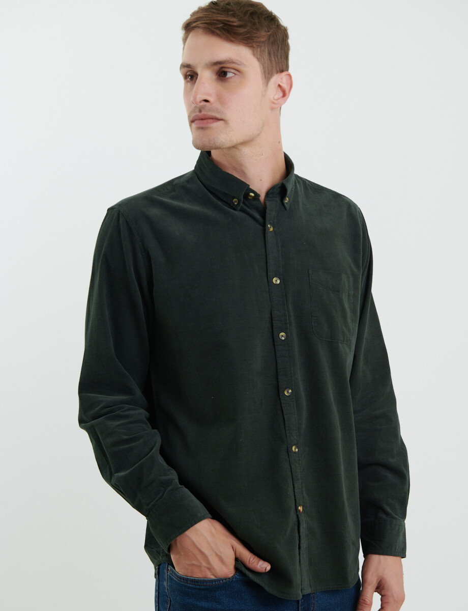 012613 CAMISA HARRY Verde