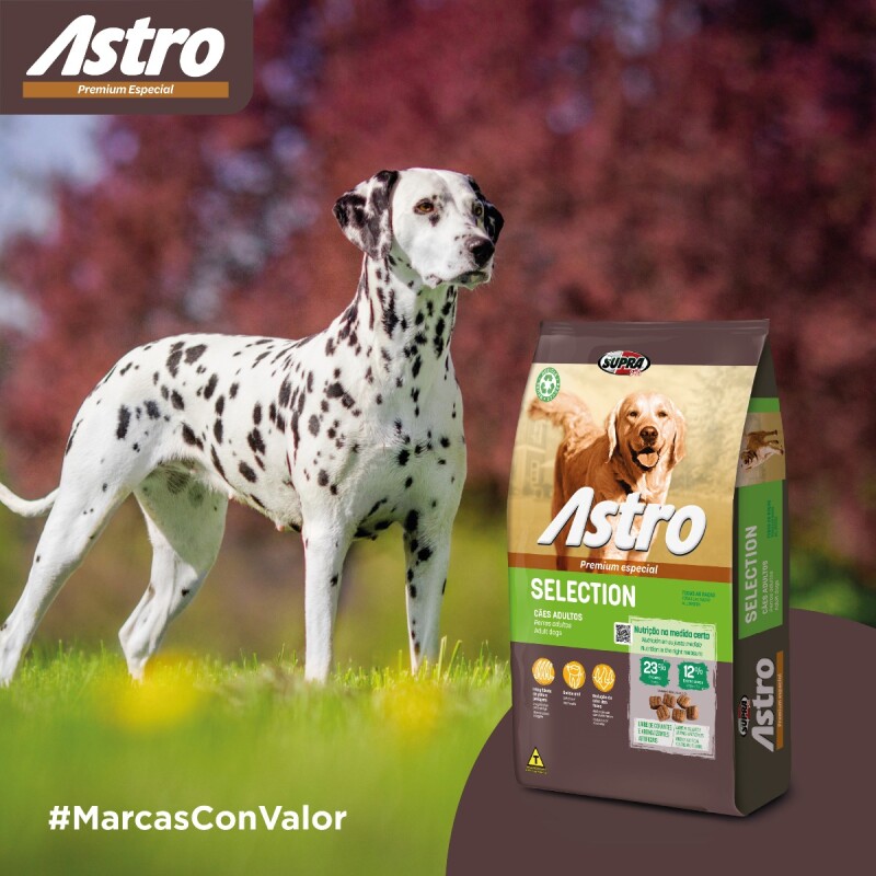 ASTRO PERROS ADULTOS SELECTION 14 + 3KG + PLATO COMEDERO ASTRO PERROS ADULTOS SELECTION 14 + 3KG + PLATO COMEDERO
