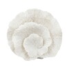 FIG CERAMICA CORAL 29X21CM Unica