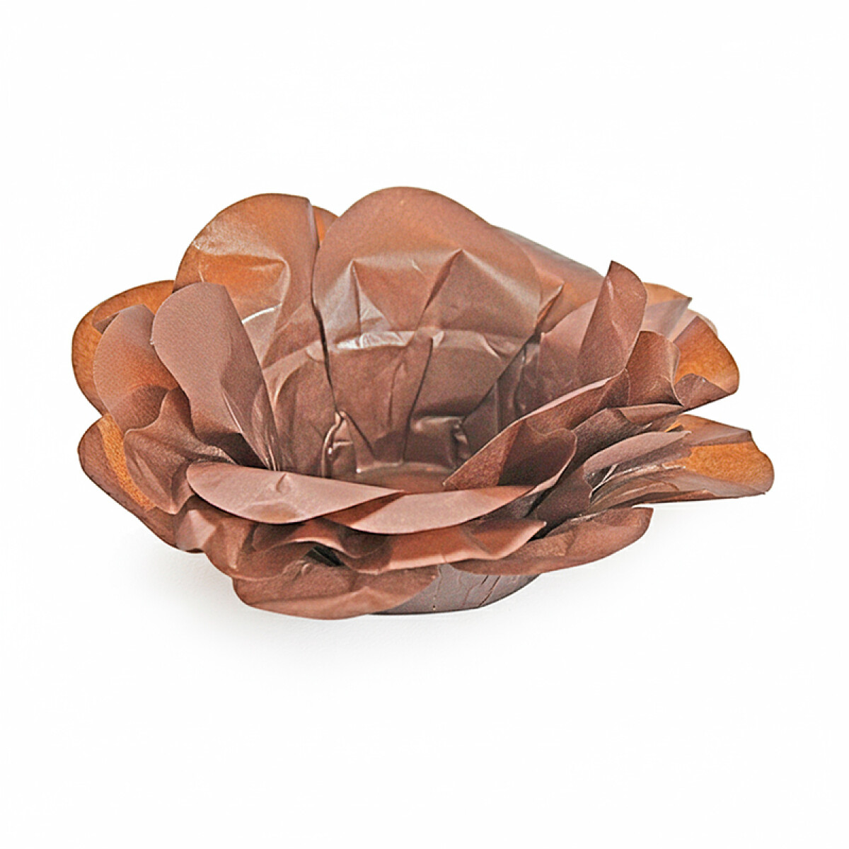 Formita Rosa x40 - Bronce 