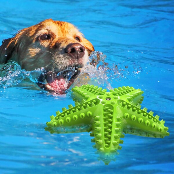 Juguete Perro Dental Morder Higiene Estrella Marina Flotante Color Variante Verde