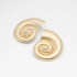 CORALUXE GOLD GOLD