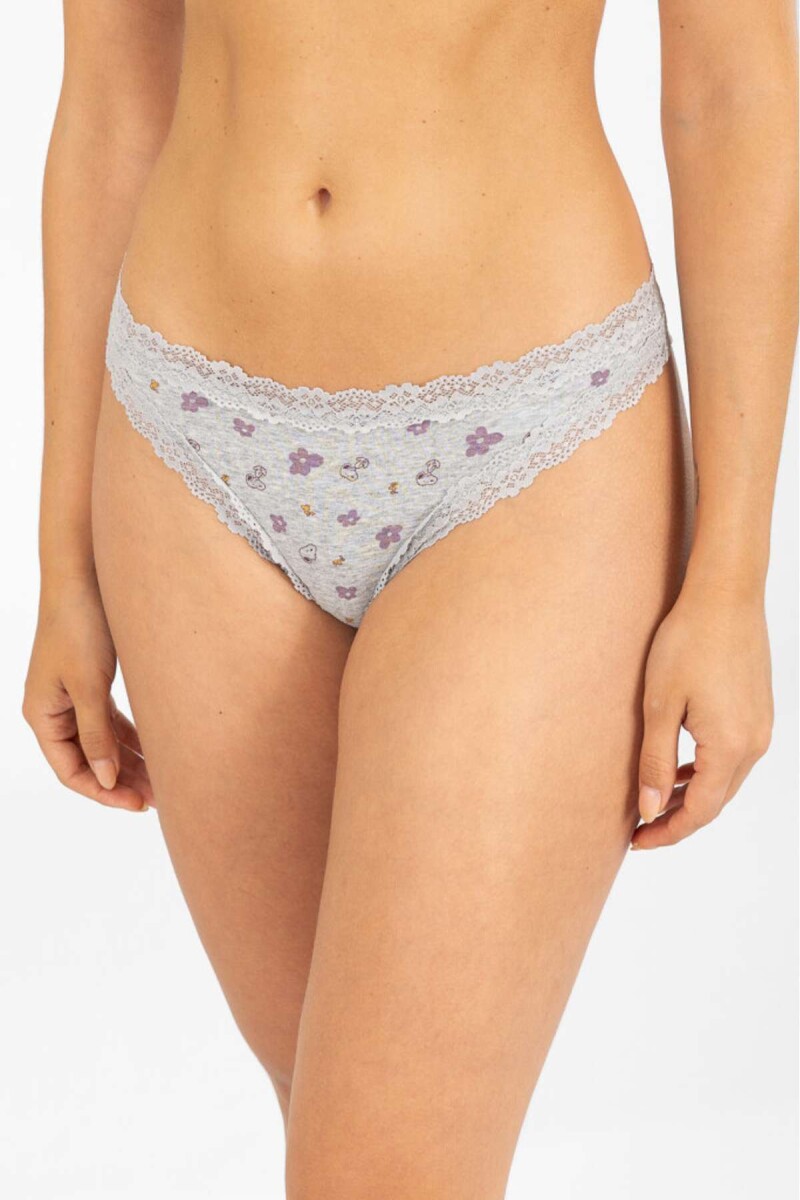 Colaless flower stripe - Gris 