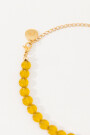 COLLAR MUSHROOM Amarillo