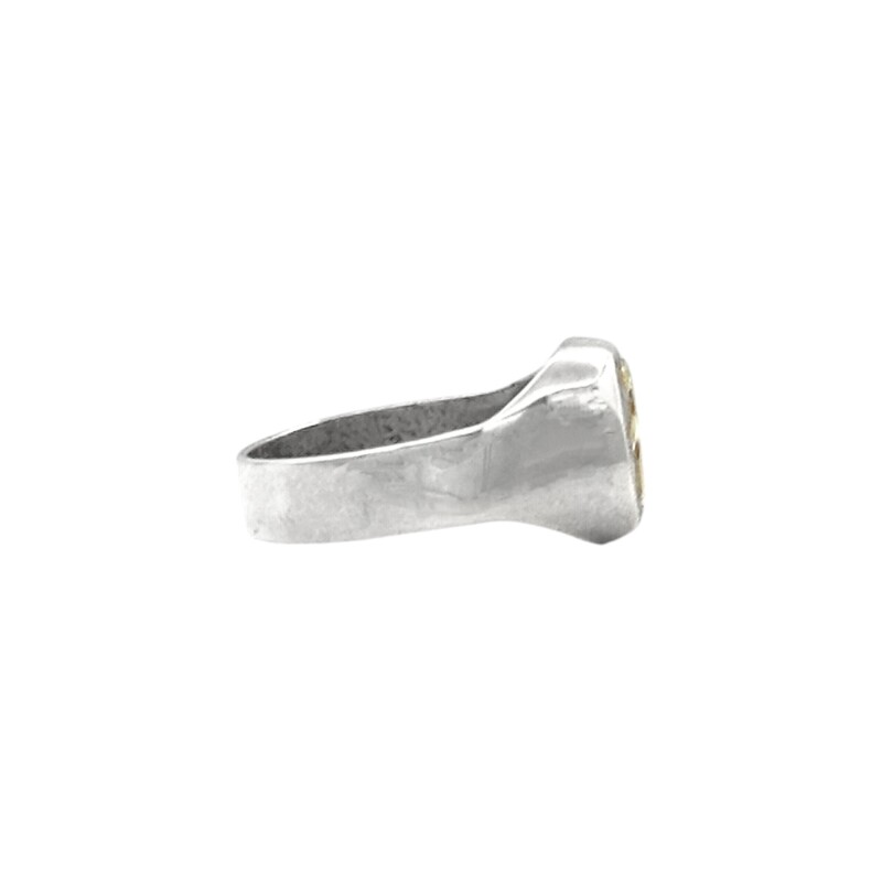 Anillo Profesión Educación Física -Plata y Oro-Sin Piedra-AP5019 sinpiedra