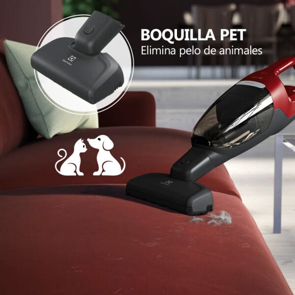 Aspiradora Ergorapido Well Q6 Animal Electrolux Erg36 ASPIRADORA ELECTROLUX INALAMBRICA ERG36
