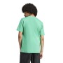 Sin Definir - Hombre Surf Green