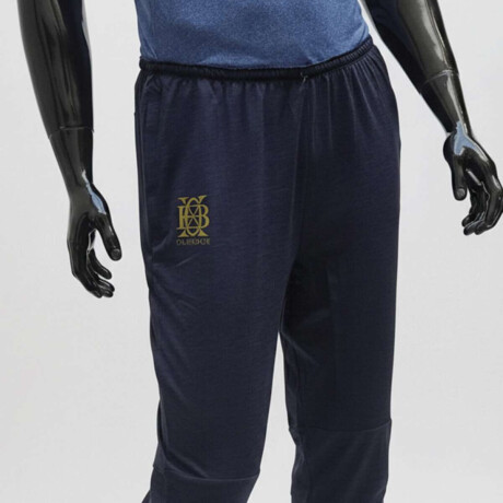 Pantalon Training Ligero Deportes Azul