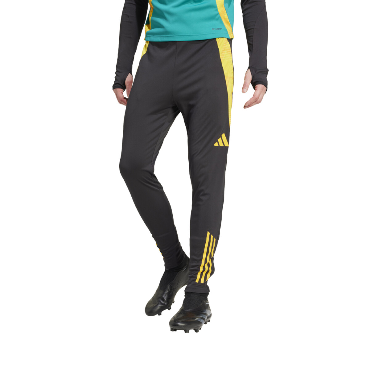 adidas Jamaica Training 