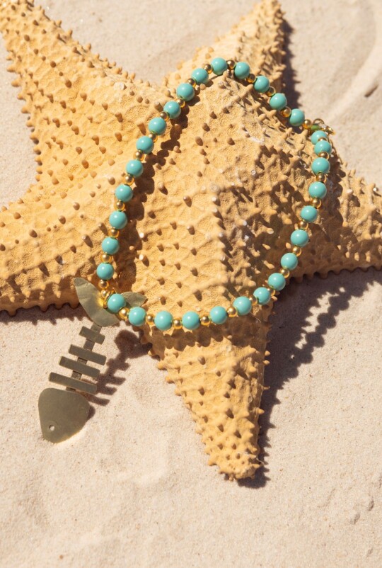 Collar Pez Collar Pez