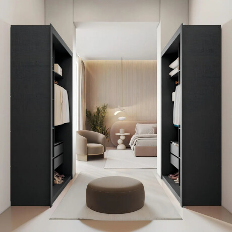 ROPERO VESTIDOR 2 CAJONES GUARDARROPA ARMARIO PLACARD CLOSET NEGRO