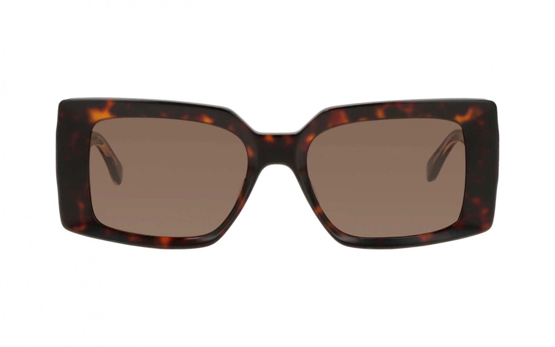 Teresa Calandra Naomi col tortoise 