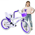 Bicicleta Infantil Rodado 20 Con Rueditas Auxiliares Violeta