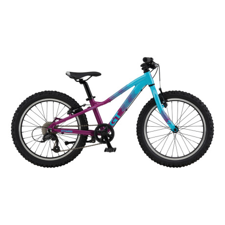 Bicicleta Montaña GT STOMPER HT ACE 20 Violeta y Celeste