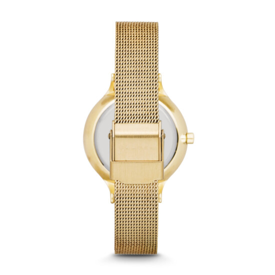 Reloj Skagen Fashion Acero Oro 0