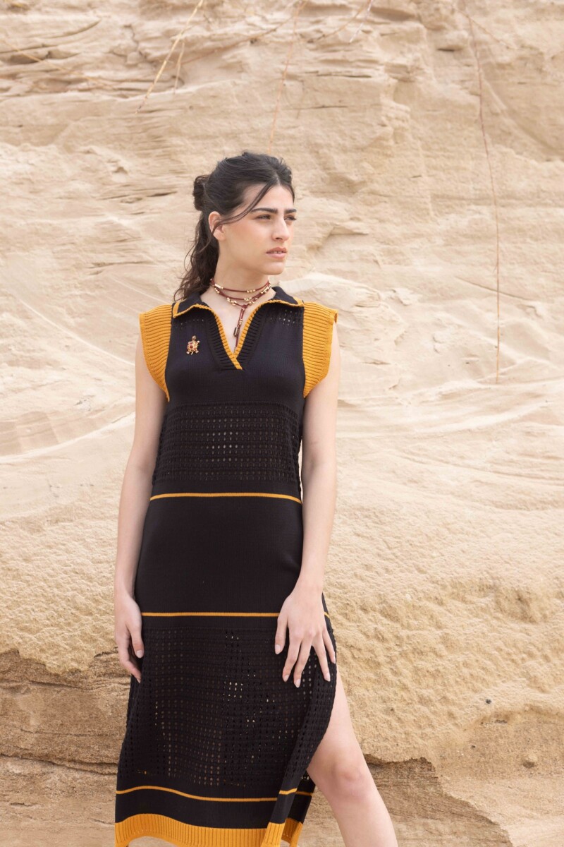 Vestido Stripe Negro y Camel